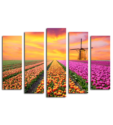 Природа H1413