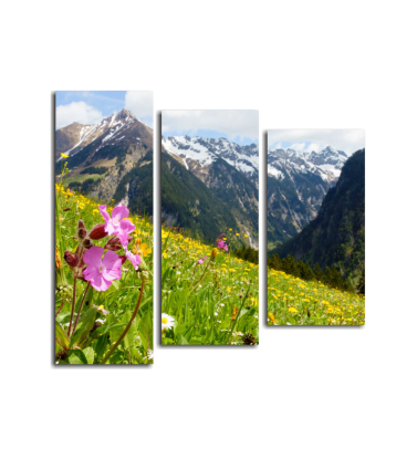 Austrian Alps, цветы