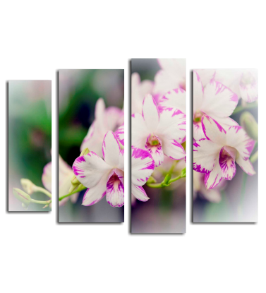 Цветы G922