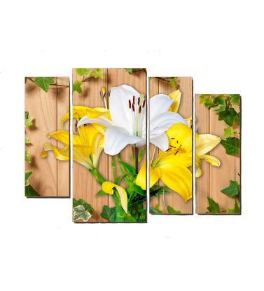 Lily