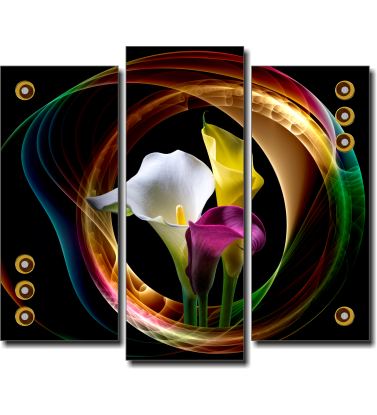 Calla, flowers, close-up