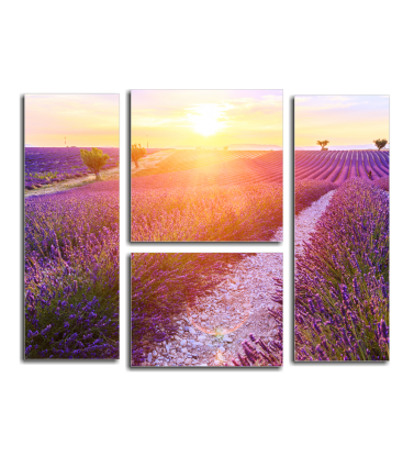Летний пейзаж в Provence, Франция